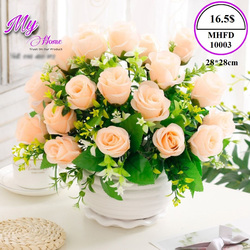 ផ្កាតាំង MHFD10003