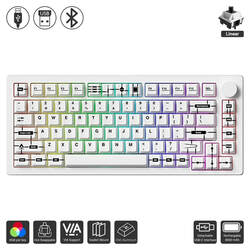 M1 V5 - Prototype (Akko / Keyboard)