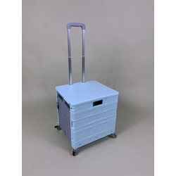 Foldable Trolley Cart (L) - Light Green