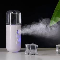 Facial Sauna and Nose Steamer