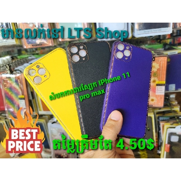 iPhone 11 Pro Max Back Leather with Golden Frame Phone Case