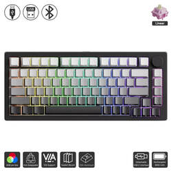 M1 V5 - SP Black (Akko / Keyboard)
