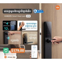 Xiaomi Smart Door Lock E10