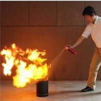 បំពង់ពន្លត់អគ្គិសនី