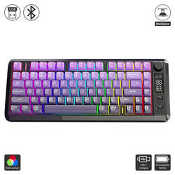 M75(Ziyoulang / Keyboard)