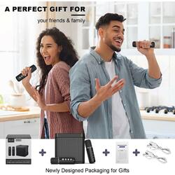 Wireless Karaoke Speaker YS-203