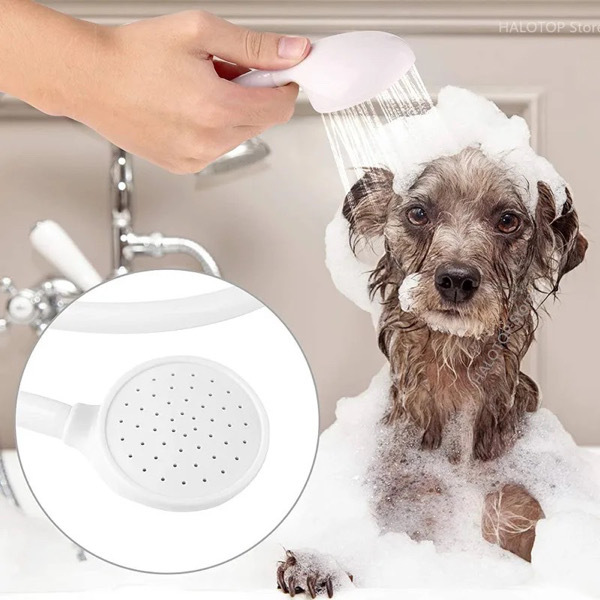 Multi-Functional Faucet Shower