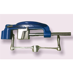 អង្គុំរិតខ្សែហ្វីយ៉ា​