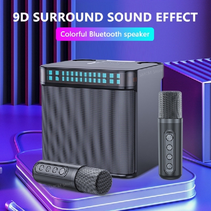 YS-223 New Karaoke with 2 Microphones