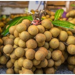 មៀនបាត់ដំបង - Battambang Longan
