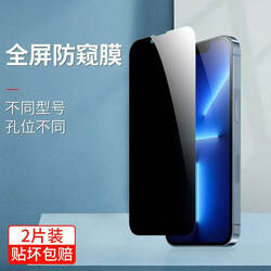 pple 13 Anti-Peep Tempered Glass Film iPhone 13 Pro Anti-Peeping 12
