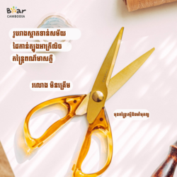 SK Vintage Acrylic Scissors