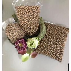 Red Lotus Seeds 1kg