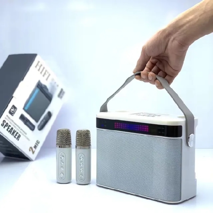 YS-224 Karaoke Speaker with Two Microphones 