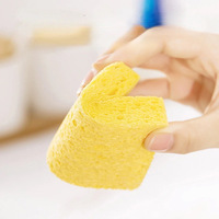 2PCS Dishwashing Sponge