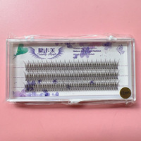 Eyelash - Fish tail eyelashes