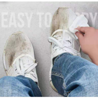 Wet Shoes for Cleaning Shoes