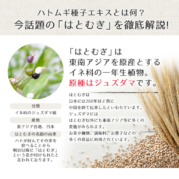 HATOMUGI The Cleansing Cream