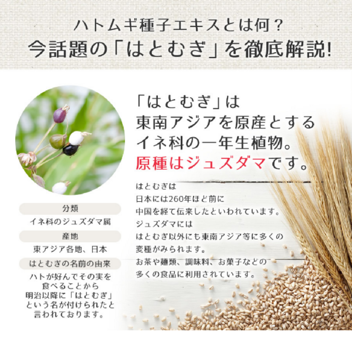 HATOMUGI The Cleansing Cream