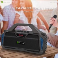 NR-6011M Portable Karaoke Speaker with Mic