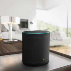 Mi Smart Speaker