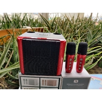 YS-111 Karaoke with 2 Microphones