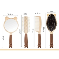 Mirror Hairbrush Set