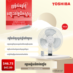 Wall Fan - F-AWD60KH(W)