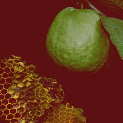 🇹🇭 KARMAKAMET Meila Partir En Voyage Perfume Bag Small 20g