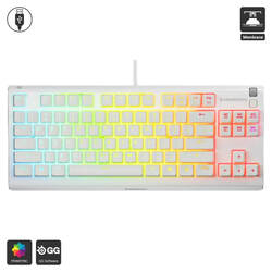 Apex 3 TKL (Steelseries / Keyboard)