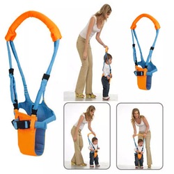 Toddler Safety Belt