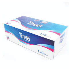 TESSA Facial Tissue Box 120's