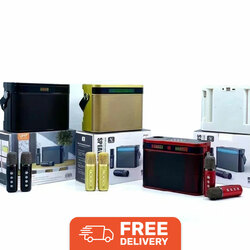 YS-224 Karaoke Speaker with Two Microphones