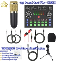 Mini Studio recording Sound Card V8s+BM800 