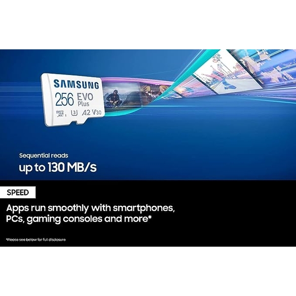 Samsung 256GB EVO Plus Micro SDXC With Adapter