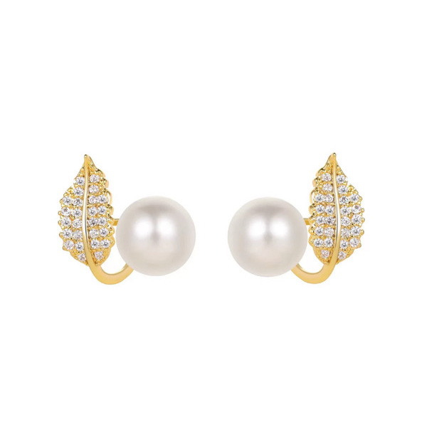 Woman's Fashion Earrings