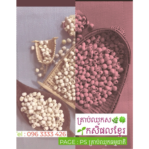 White Lotus Seeds 1kg
