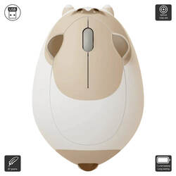 Ragdoll Cat (Akko / Mouse)