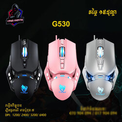 ASURAK Gaming mouse - G530