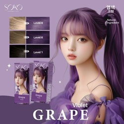 SOKO Color Hair Cream/គ្រីមប្តូរពណ៌សក់-Grape (Violet)