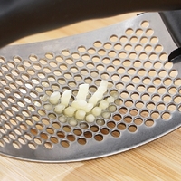 Garlic Crusher