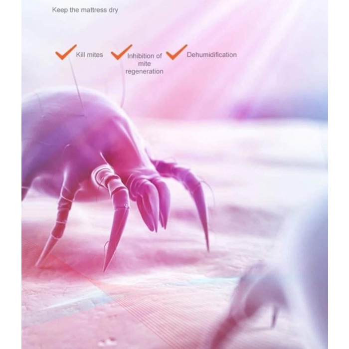 Deerma Vacumm Cleaner 