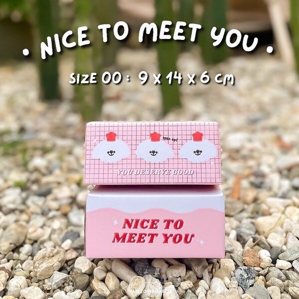 #L04 Nice to Meet You Box Size 00 9x14x6cm - 1 Set (10PCS)