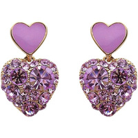 Woman's Fashion Earrings