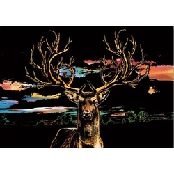 🇹🇭 Scraping Art A3 Size Color Scratching Decorative Picture