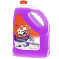 Mr. Muscle Lavender 5000ml - 1 Bucket 
