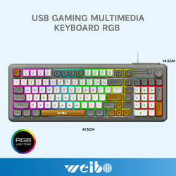 WT-WB222 USB Gaming Multimedia Keyboard RGB