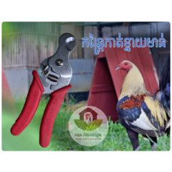 កន្ត្រៃកាត់ខ្នាយមាន់