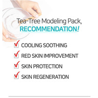 [NEEDS NATURE] DERMA TECHNOLOGY TEA-TREE MODELING PACK
