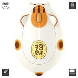 Akko Fortune Cat Mouse